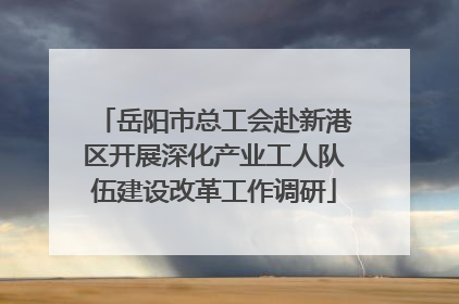 岳阳市总工会赴新港区开展深化产业工人队伍建设改革工作调研